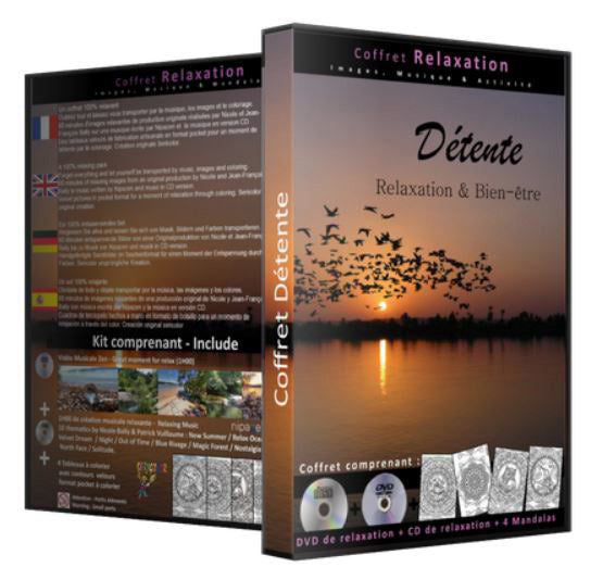 CD & DVD